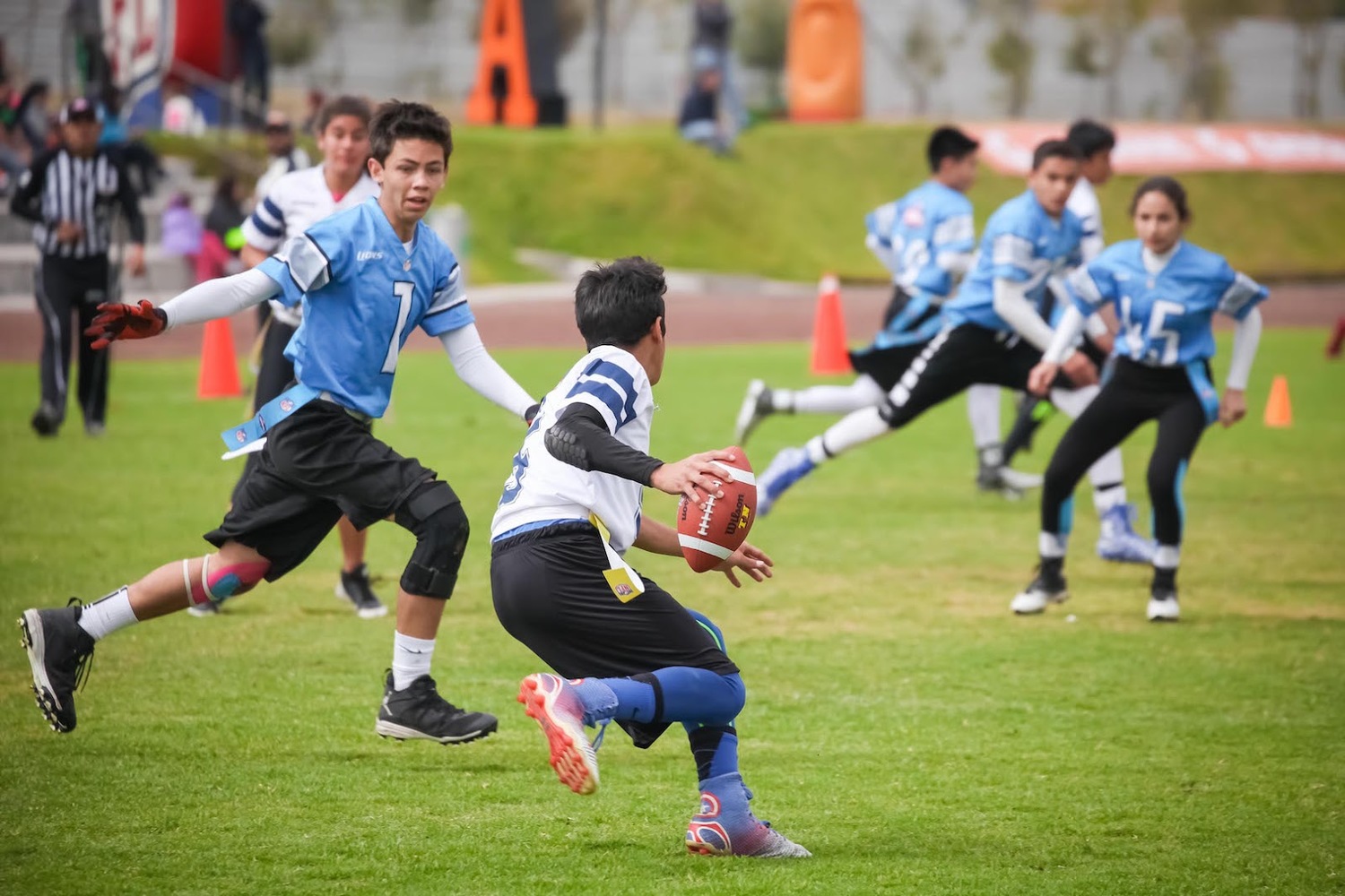 <span style="font-weight: bold;">FLAG FOOTBALL</span>