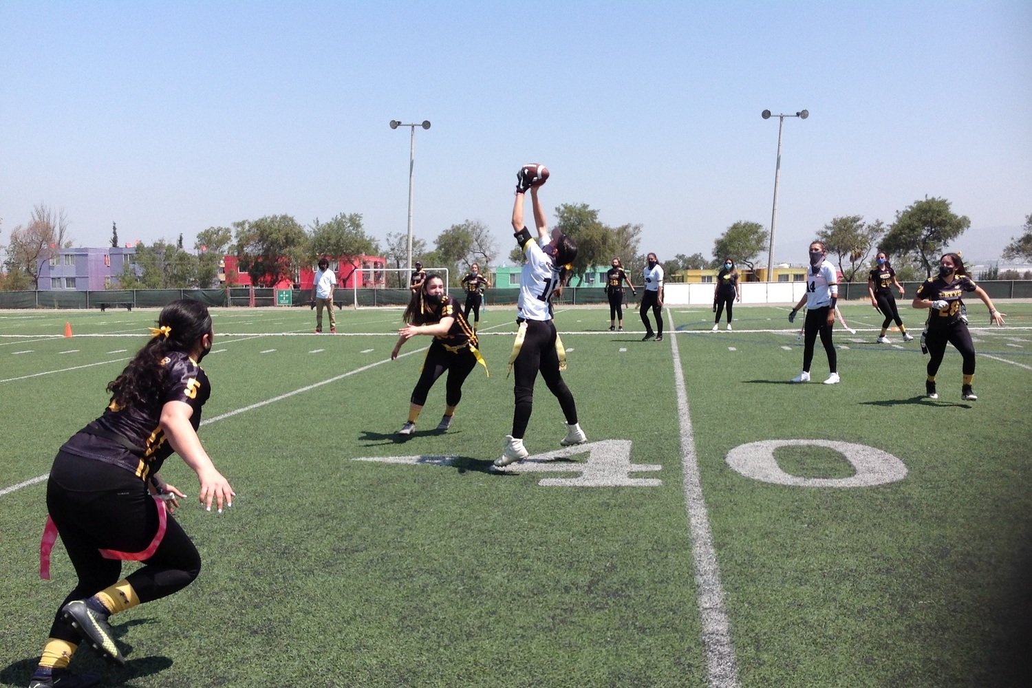 <span style="font-weight: 700;">MIXTO</span>